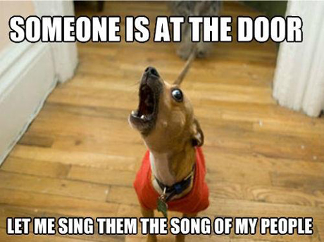 dog sings